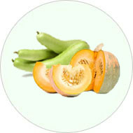 Organic Gourds & Organic Pumpkin