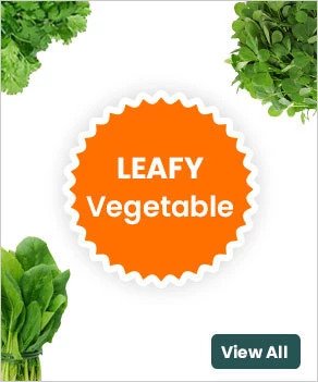 Leafy green vegetables give a scope of health advantages as a feature of a good diet. Eating greens along with a good source of fat can enable your body to absorb the fat-soluble nutrients in the vegetable. Organic leafy vegetables are high in antioxidants, fiber, minerals and so on.