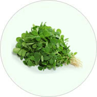 Organic Leafy/Green
