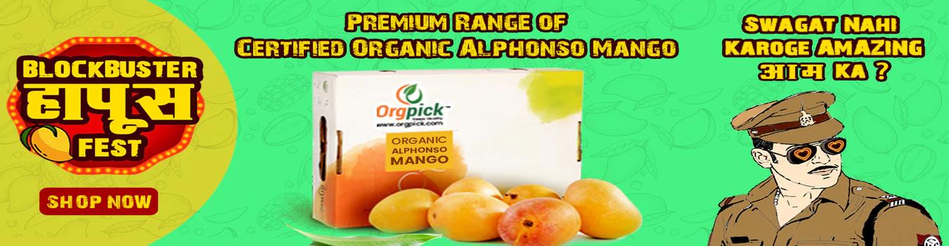 Orgpick Mangoes