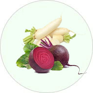 Organic Salad